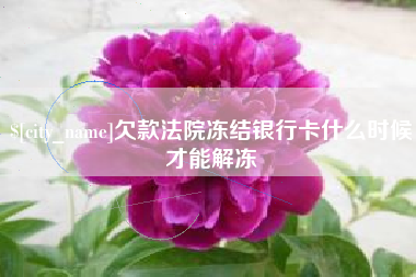 湖南欠款法院冻结银行卡什么时候才能解冻