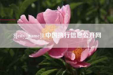湖南1.中国执行信息公开网