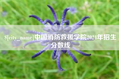 湖南中国消防救援学院2024年招生分数线