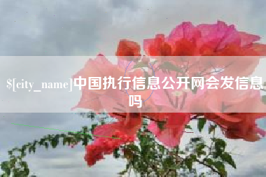 湖南中国执行信息公开网会发信息吗