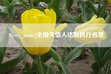 湖南全国失信人法院执行名单