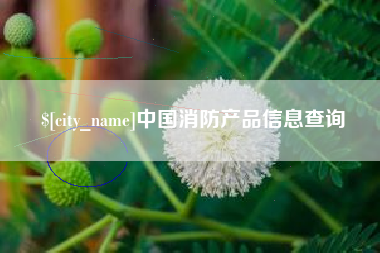 湖南中国消防产品信息查询