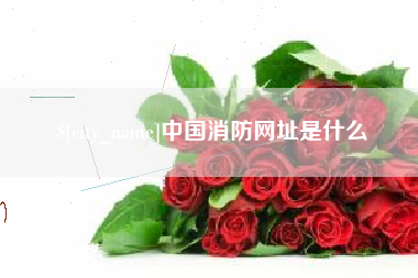 湖南中国消防网址是什么