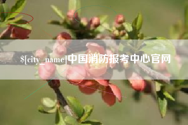 湖南中国消防报考中心官网