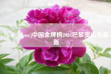 湖南中国金牌榜2024巴黎奥运会最新