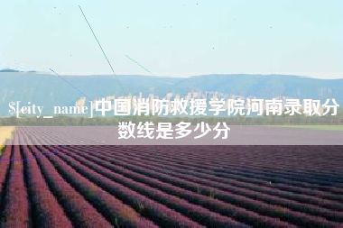湖南中国消防救援学院河南录取分数线是多少分