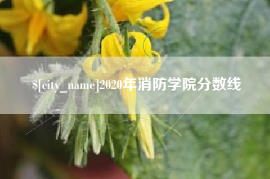 湖南2020年消防学院分数线