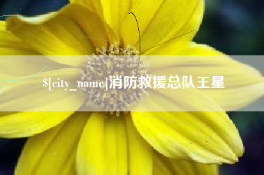 湖南消防救援总队王星