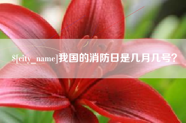 湖南我国的消防日是几月几号？