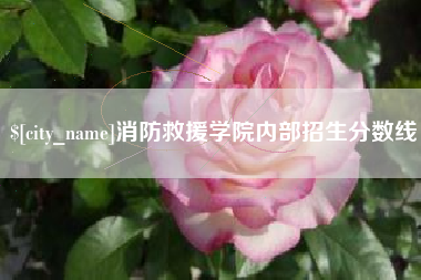 湖南消防救援学院内部招生分数线