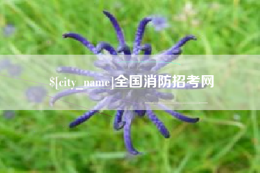 湖南全国消防招考网