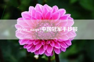 湖南中国冠军手抄报