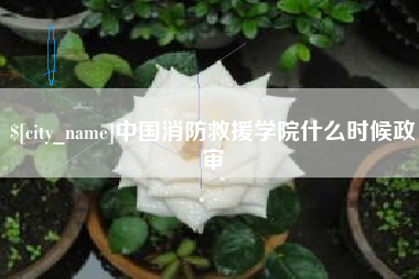 湖南中国消防救援学院什么时候政审