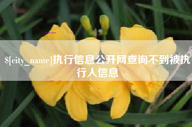 湖南执行信息公开网查询不到被执行人信息