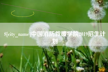 湖南中国消防救援学院2019招生计划