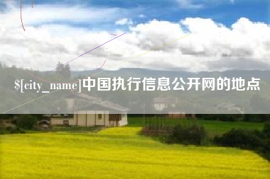 湖南中国执行信息公开网的地点