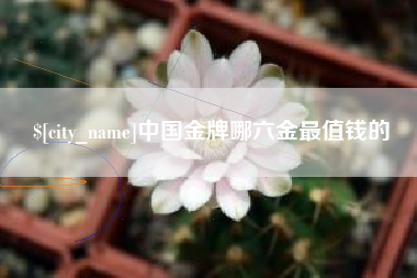 湖南中国金牌哪六金最值钱的