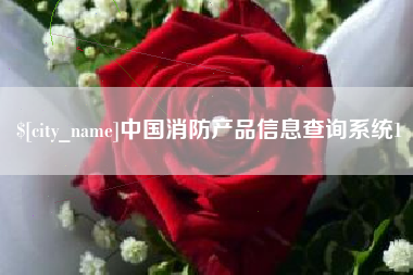 湖南中国消防产品信息查询系统1