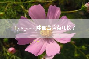 湖南中国金牌有几枚了