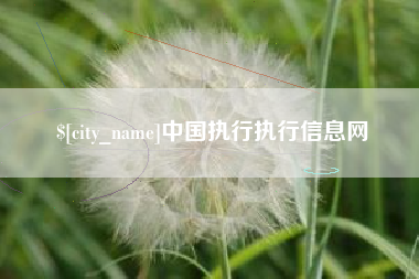 湖南中国执行执行信息网