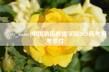 湖南中国消防救援学院2020高考报考条件