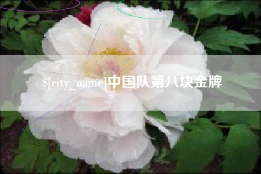 湖南中国队第八块金牌