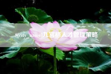 湖南九宫格人才管理策略