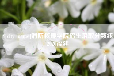 湖南消防救援学院招生录取分数线2020福建