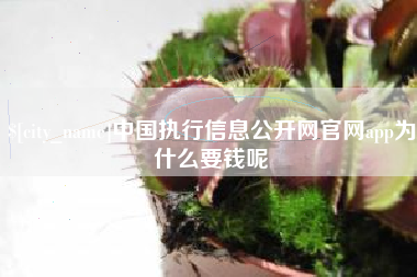 湖南中国执行信息公开网官网app为什么要钱呢