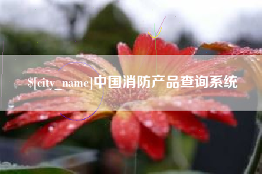 湖南中国消防产品查询系统
