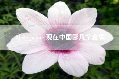 湖南现在中国哪几个金牌