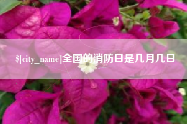 湖南全国的消防日是几月几日