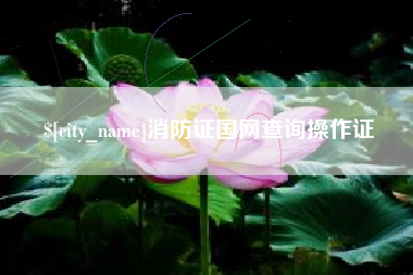 湖南消防证国网查询操作证