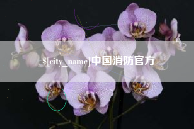 湖南中国消防官方