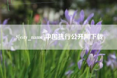 湖南中国执行公开网下载