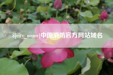 湖南中国消防官方网站域名