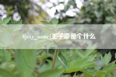 湖南王子豪是个什么