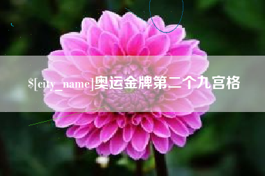 湖南奥运金牌第二个九宫格