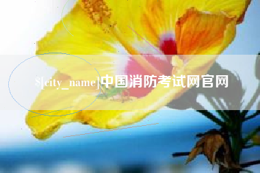 湖南中国消防考试网官网
