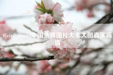 湖南中国金牌图片大全大图真实高清