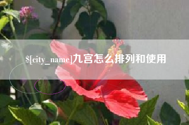 湖南九宫怎么排列和使用