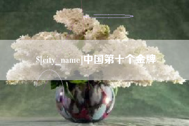 湖南中国第十个金牌