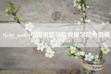 湖南中国消防学院救援学院分数线