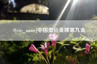 湖南中国奥运金牌第九金