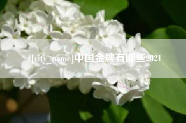 湖南中国金牌有哪些2021