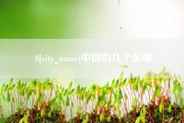 湖南中国的几个金牌