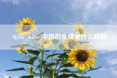 湖南中国的金牌是什么样的