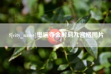 湖南奥运夺金时刻九宫格图片
