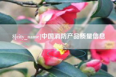 湖南中国消防产品质量信息