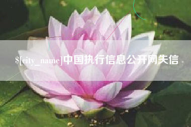 湖南中国执行信息公开网失信